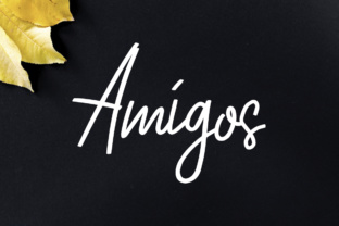 Amigos: A Versatile Script Font for Modern Design