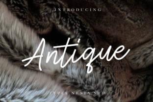 Antique: A Classy Monoline Font for Modern Designs