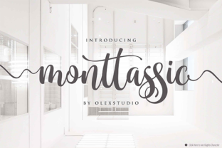 Monttassic Script: A Modern Handlettering Font for Creative Expression