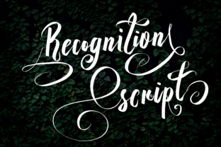 Recognition Script: A Timeless Font for Every Need